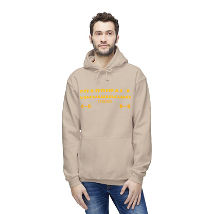 Chardikala Spirit Hooded Sweatshirt