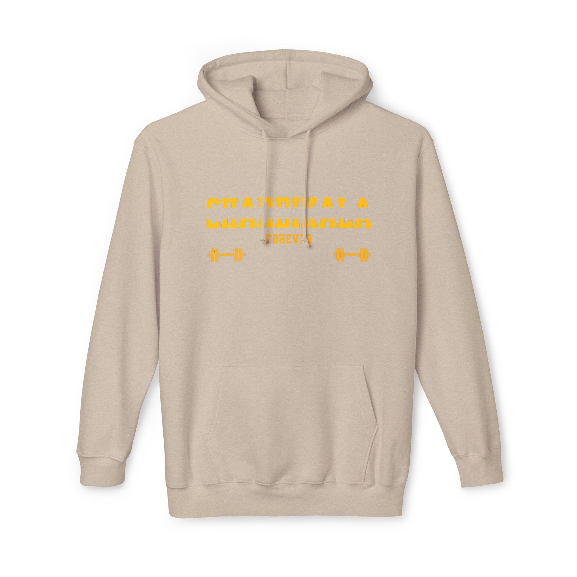 Chardikala Spirit Hooded Sweatshirt - Blissful Haven Outlet