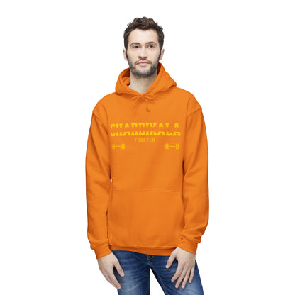 Chardikala Spirit Hooded Sweatshirt