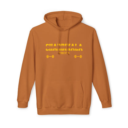 Chardikala Spirit Hooded Sweatshirt - Blissful Haven Outlet