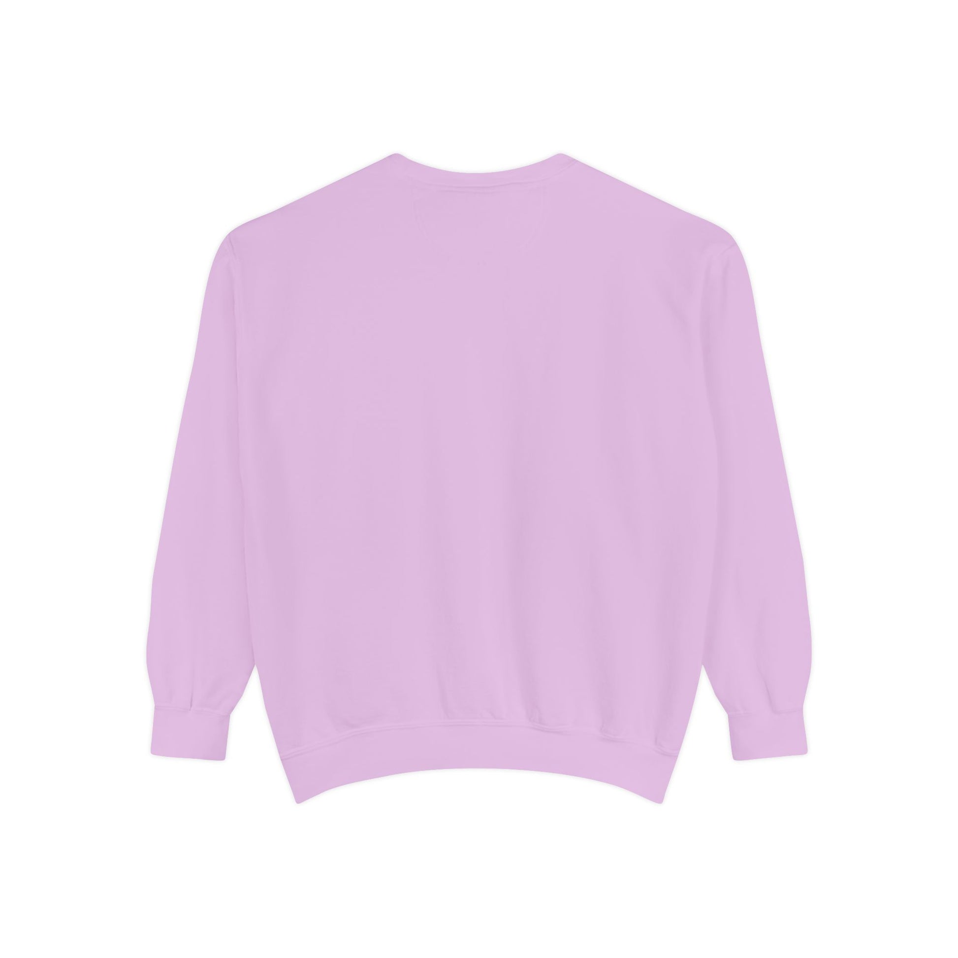 Dream Big Unisex Garment-Dyed Sweatshirt - Blissful Haven Outlet