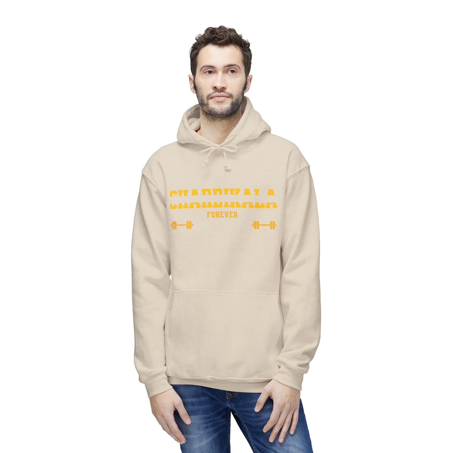 Chardikala Spirit Hooded Sweatshirt