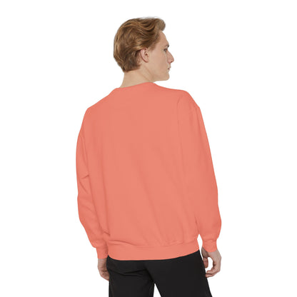 Dream Big Unisex Garment-Dyed Sweatshirt - Blissful Haven Outlet