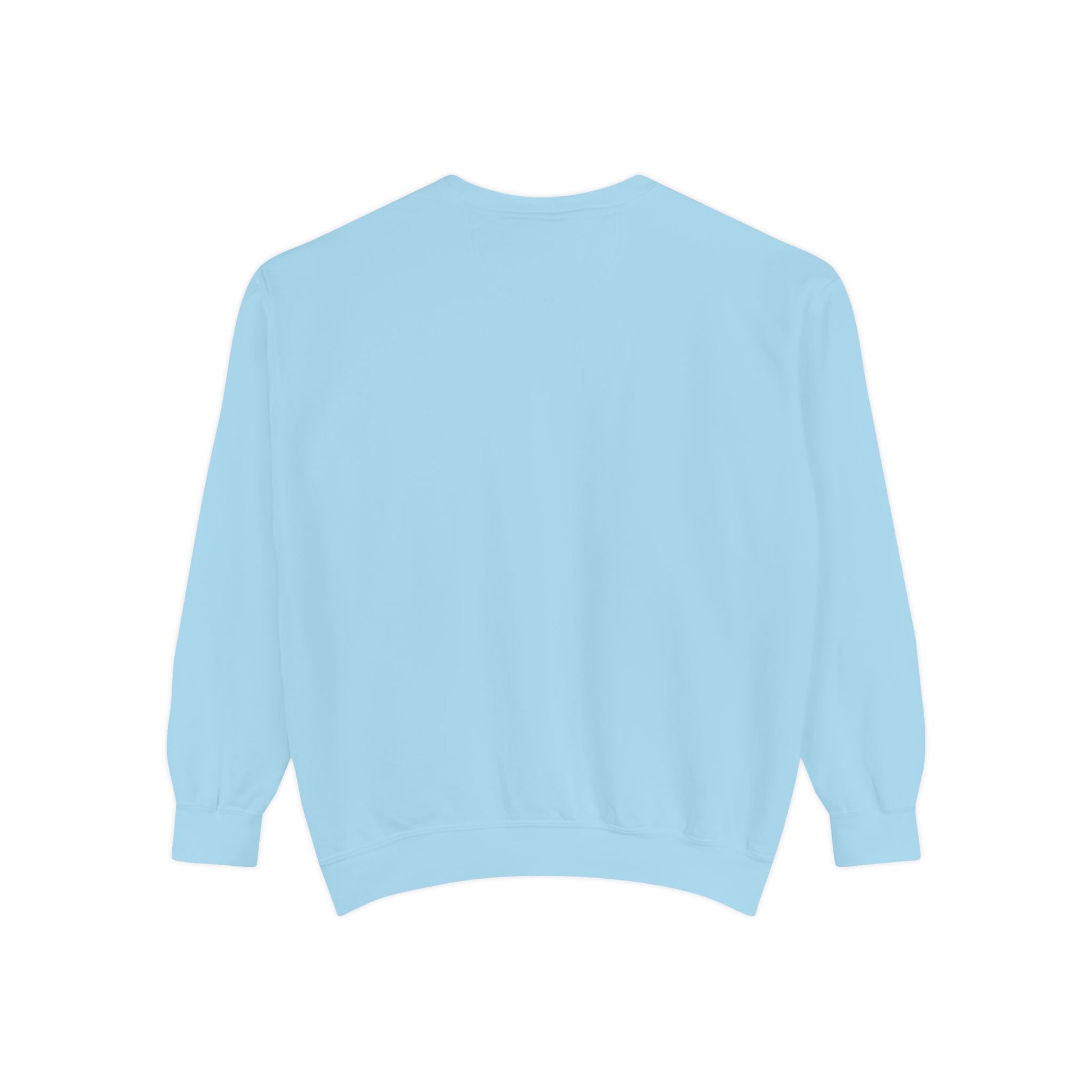 Dream Big Unisex Garment-Dyed Sweatshirt - Blissful Haven Outlet