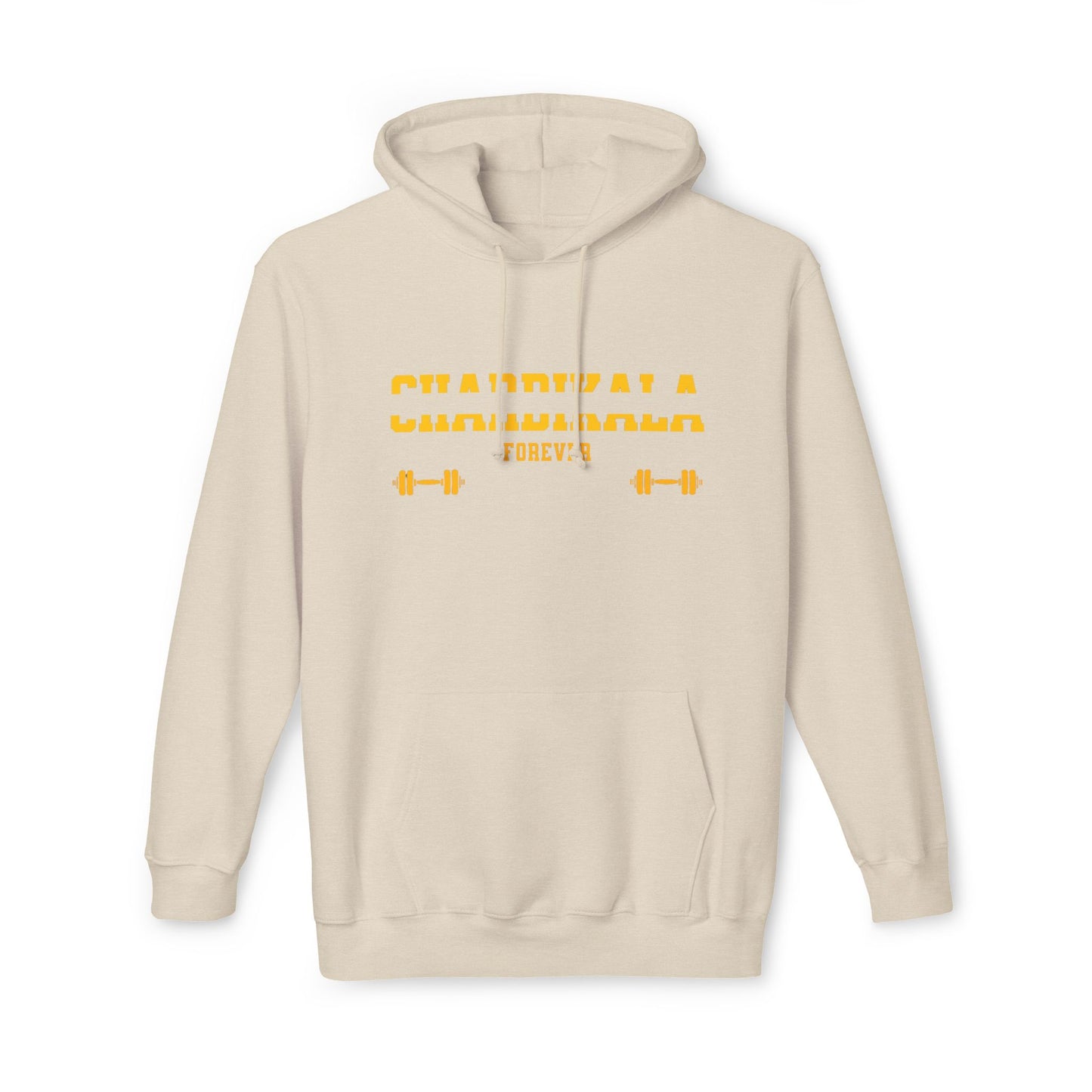 Chardikala Spirit Hooded Sweatshirt