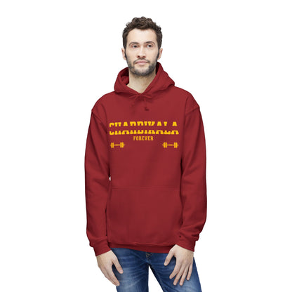 Chardikala Spirit Hooded Sweatshirt