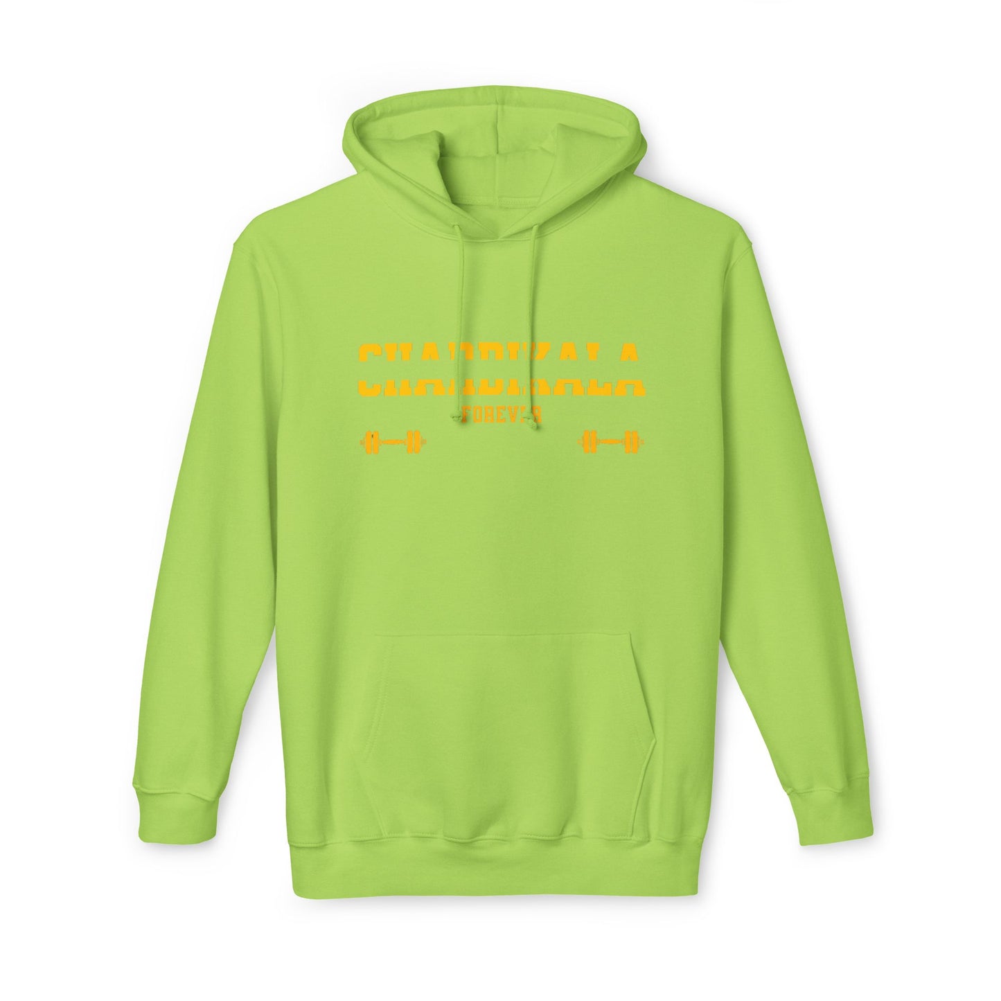 Chardikala Spirit Hooded Sweatshirt