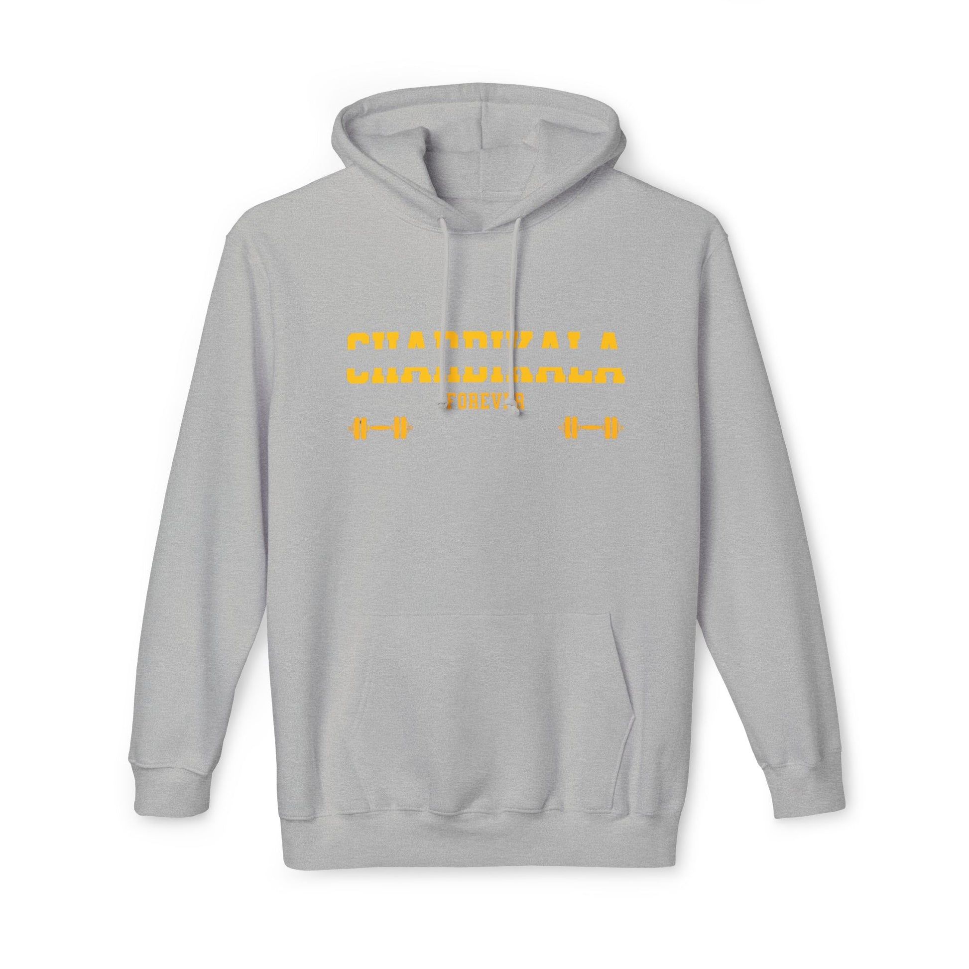 Chardikala Spirit Hooded Sweatshirt - Blissful Haven Outlet